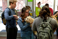 Counseling Club Puppy Event